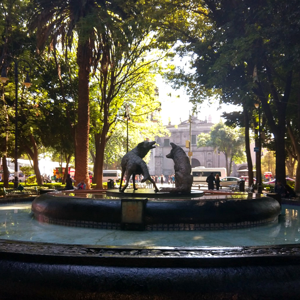 Jardín del Centenario